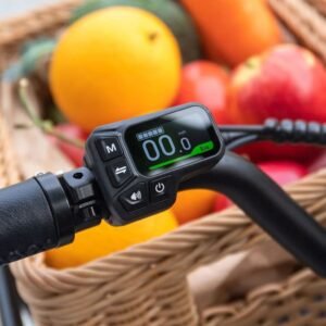 Fiido T2 Vélo électrique Longtail Fatbike Cargo