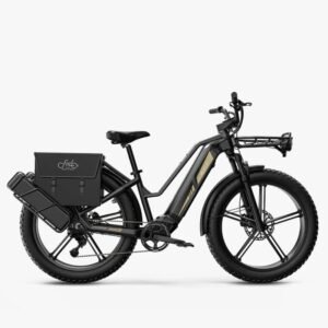 Fiido Titan Vélo électrique Cross & Randonnée