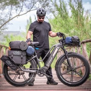 Fiido Titan Vélo électrique Cross & Randonnée