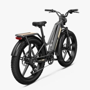 Fiido Titan Vélo électrique Cross & Randonnée