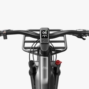 Fiido Titan Vélo électrique Cross & Randonnée