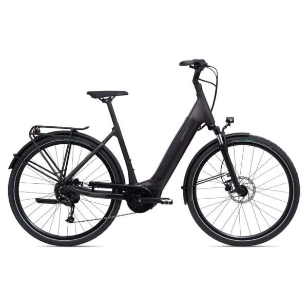 Giant DailyTour E+ 3 LDS (RideDash Evo)