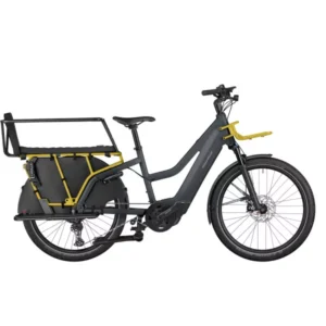 Riese & Müller Multicharger2 Mixte GT Family 2024