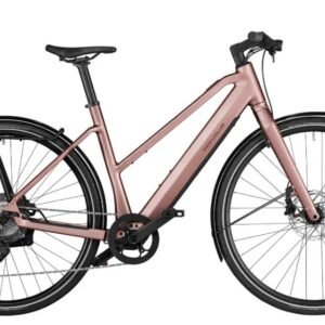 Riese & Müller Ubn Seven Touring 2023