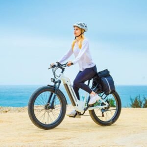 SHENGMILO MX06 vélo électrique