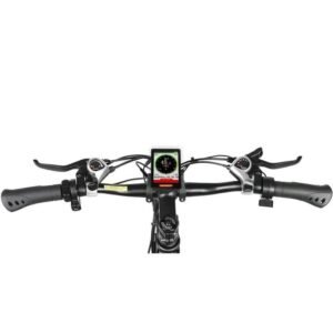 Samebike LO26-II 750W 26" VTT électrique avec Roue à Rayons