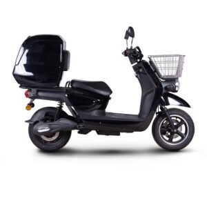 Scooter Electrique Rider Pro Cargo