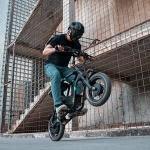 Scooter électrique pliable Fiido Q2 Dual Drive