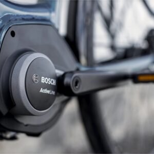 Trek District+ 1 Lowstep 300wh Shimano Nexus 7V 2022