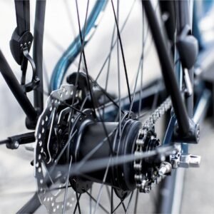 Trek District+ 1 Lowstep 300wh Shimano Nexus 7V 2022