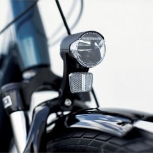 Trek District+ 1 Lowstep 300wh Shimano Nexus 7V 2022