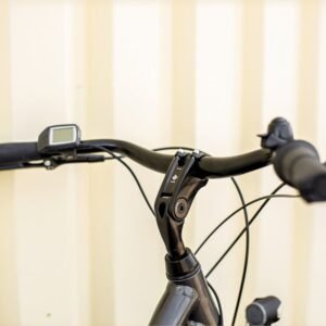 Trek District+ 1 Midstep Shimano Nexus 7V 300 Wh 2023