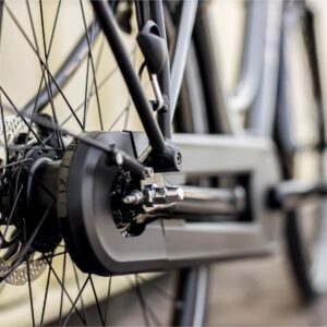 Trek District+ 1 Midstep Shimano Nexus 7V 300 Wh 2023