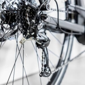Vélo Électrique Trek Verve+ 1 Lowstep DT Shimano Tourney/Altus 8V 500 Wh Gris 2023