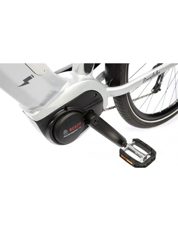VTC Électrique T-BIRD EVERGLADES 2024 – Image 3