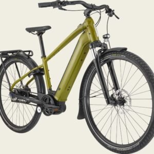 Cannondale Mavaro Neo 4 Shimano Nexus 5V Courroie 500 Wh 29" Vert