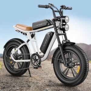 VTT électrique Engwe M20 Fat Bike 750W 20"