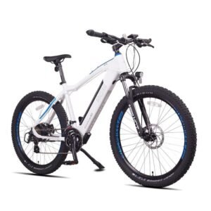 VTT électrique NCM M3