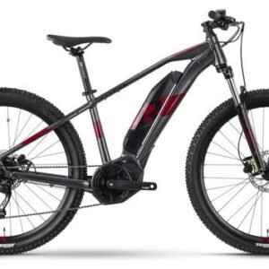 R RAYMON HardRay E 3.0 29" 2022