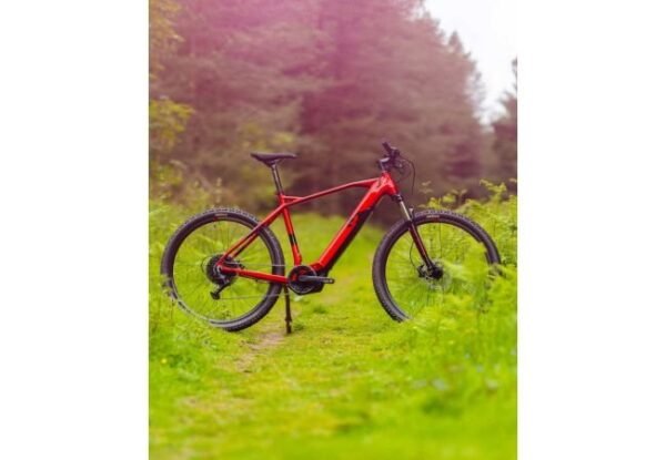VTT électrique R RAYMON HardRay E 4.0 2022 – Image 4