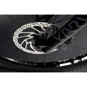 VTTAE Haibike ALLMTN CF 9 2022