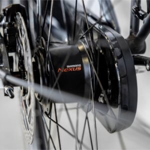 Trek District+ 2 Lowstep Bleu 2023
