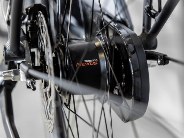 Trek District+ 2 Lowstep Bleu 2023 – Image 9