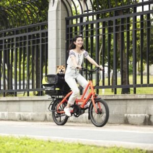 Vélo cargo électrique Tern Quick Haul D8