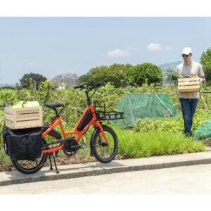 Vélo cargo électrique Tern Quick Haul P9