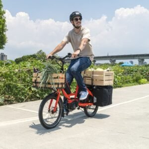Vélo cargo électrique Tern Quick Haul P9