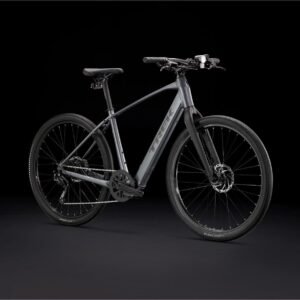 Trek Dual Sport+ 2 Shimano Altus 9V 250 Wh 650 mm Gris 2023