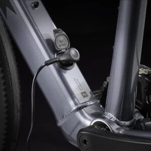 Trek Dual Sport+ 2 Shimano Altus 9V 250 Wh 650 mm Gris 2023