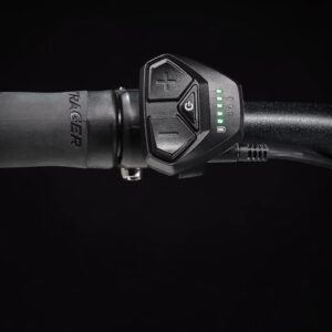 Trek Dual Sport+ 2 Shimano Altus 9V 250 Wh 650 mm Gris 2023