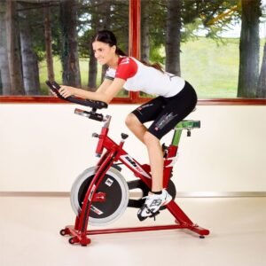 Vélo de biking BH Fitness SB1.4 H9158