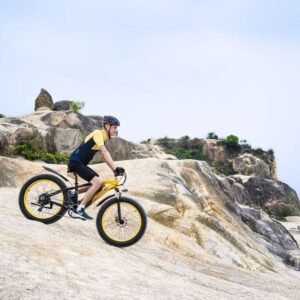 Vélo de montagne électrique GOGOBEST GF600