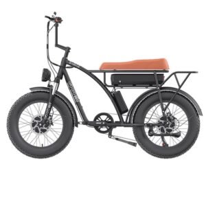 Vélo de ville électrique GOGOBEST GF750