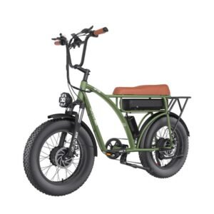 Vélo de ville électrique GOGOBEST GF750