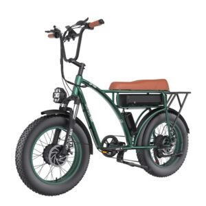 Vélo de ville électrique GOGOBEST GF750