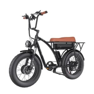 Vélo de ville électrique GOGOBEST GF750