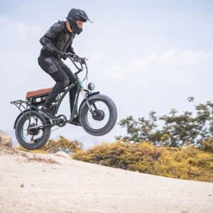 Vélo de ville électrique GOGOBEST GF750