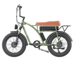 Vélo de ville électrique GOGOBEST GF750