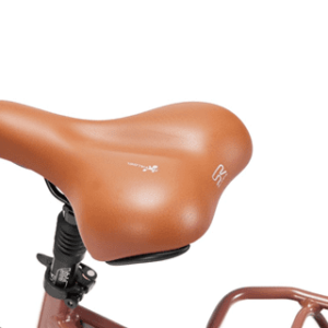 Vélo électrique Beaufort Bruce