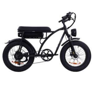 Vélo électrique Bezior XF001 PLUS