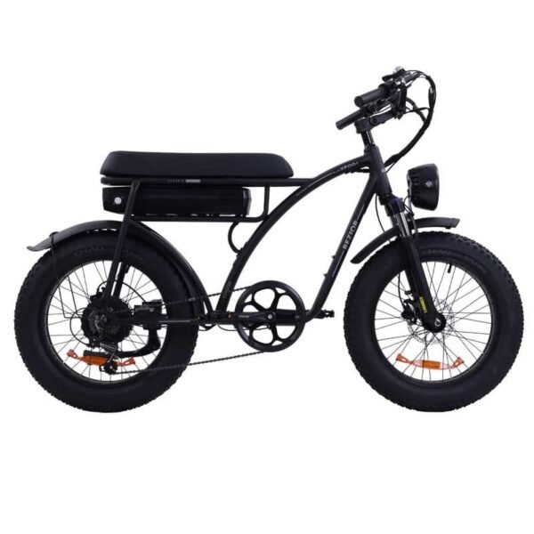 Vélo électrique Bezior XF001 PLUS