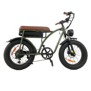 Vélo électrique Bezior XF001 PLUS