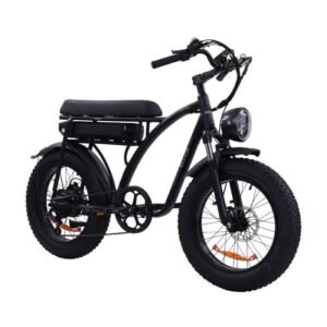 Vélo électrique Bezior XF001 PLUS