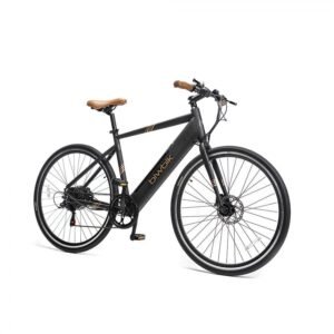 Vélo électrique Biwbik VALONA