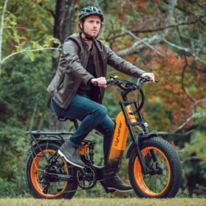 Vélo électrique Cyrusher Kommoda