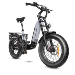 Vélo électrique Cyrusher Kommoda