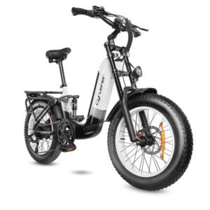 Vélo électrique Cyrusher Kommoda